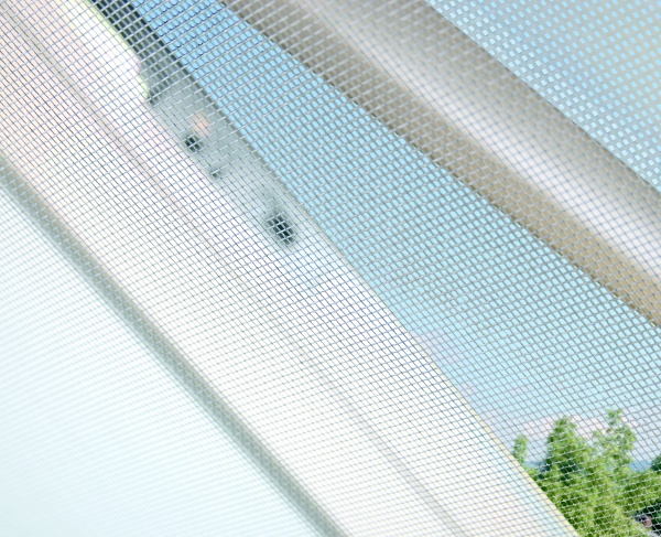 çatı penceresi sinekliği